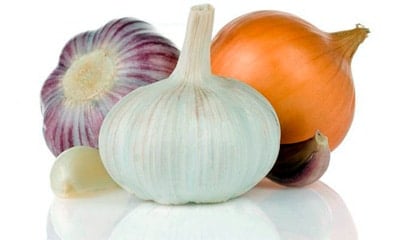 onion and garlic in the food of a dog