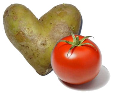 raw potato and tomato for doggy