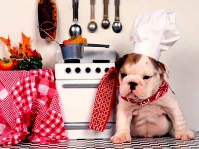 doggy cooking