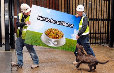 marketing in pet food