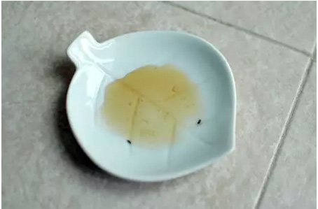 dish with water and vinegar